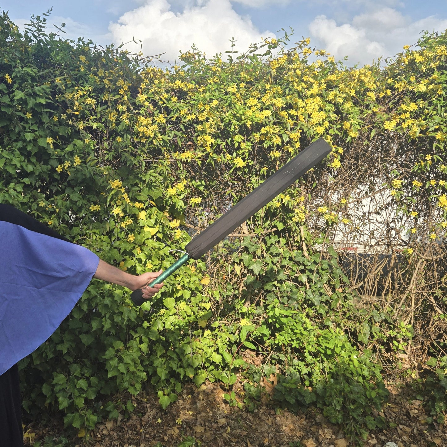 Sword